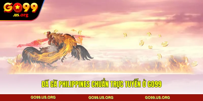 Đá gà Philippines chuẩn trực tuyến ở GO99