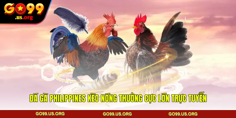 Đá gà philippines
