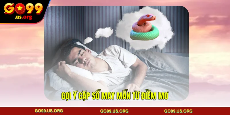 Gợi ý cặp số may mắn từ điềm mơ