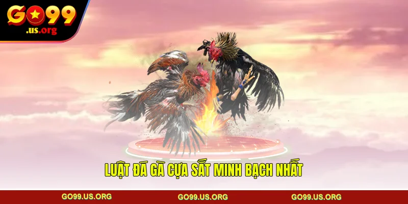 Luật đá gà cựa sắt minh bạch nhất