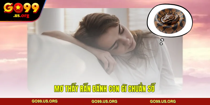 Mơ thấy rắn đánh con gì chuẩn số