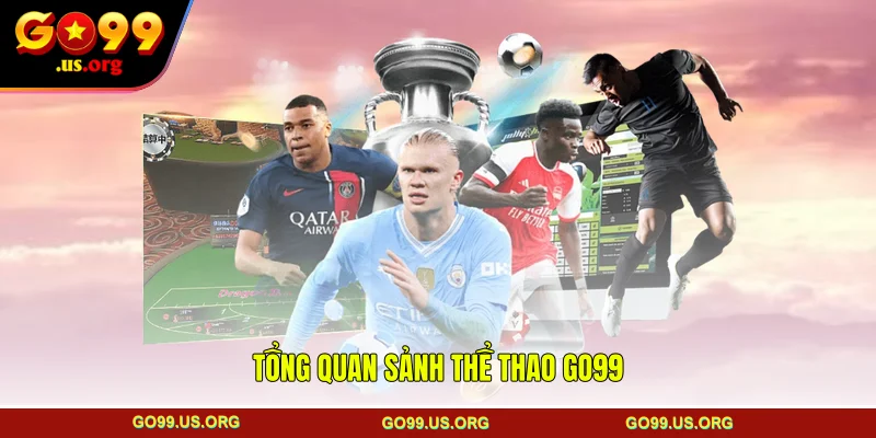 Tổng quan sảnh thể thao GO99