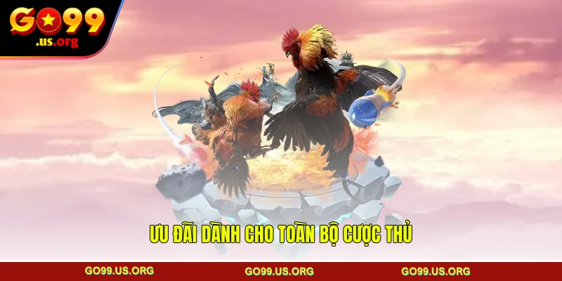 Ưu đãi dành cho toàn bộ cược thủ